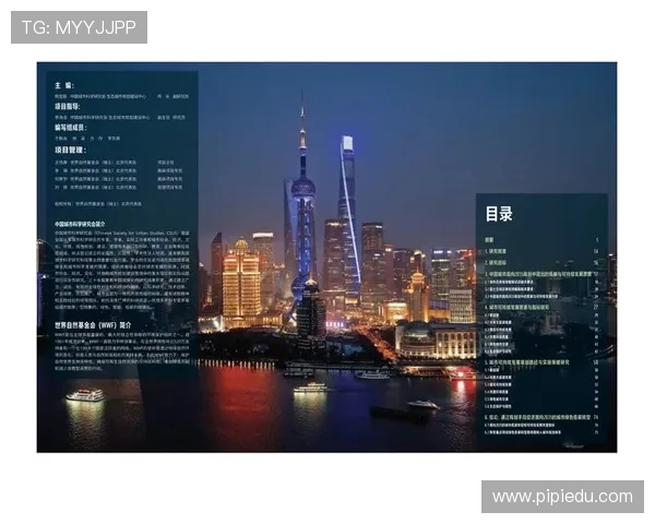 提升法甲外援适应能力的关键策略研究报告